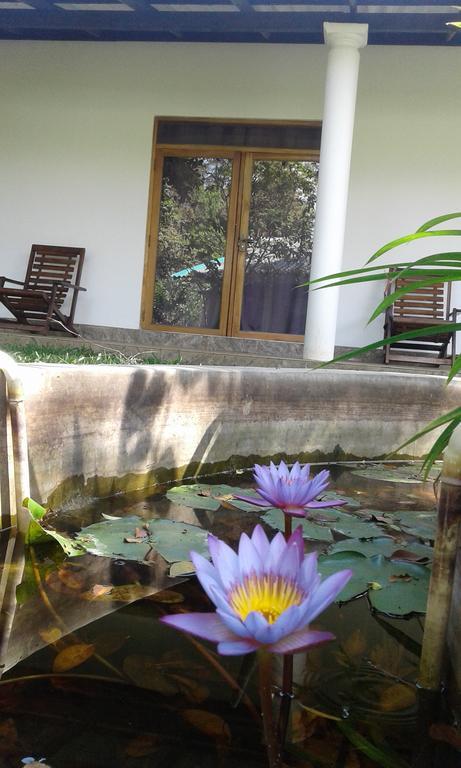 River Retreat Sigiriya Buitenkant foto