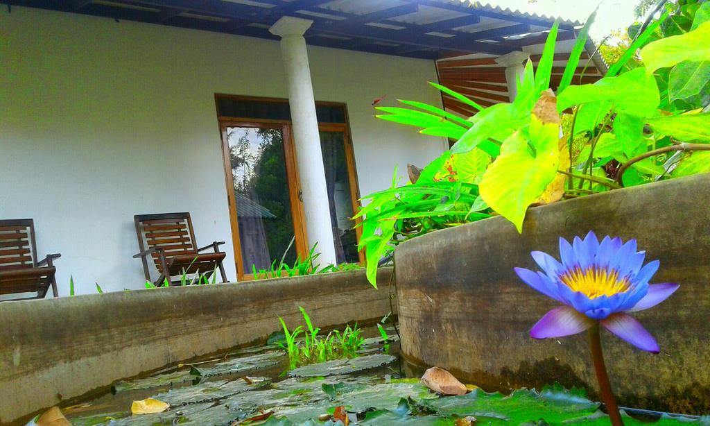 River Retreat Sigiriya Buitenkant foto
