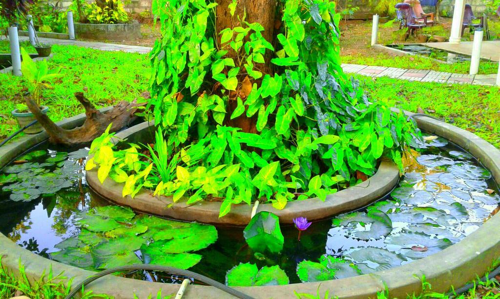 River Retreat Sigiriya Buitenkant foto